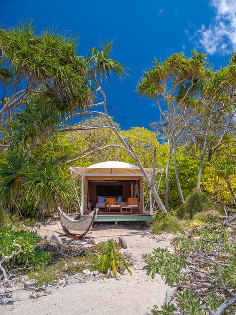 Wilson Island - Kempsey Accommodation 3