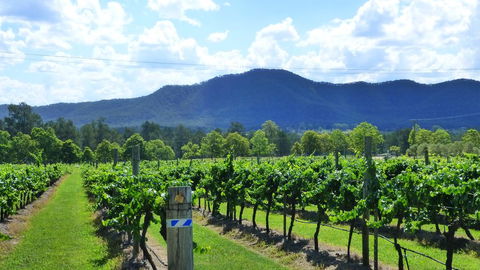 Winmark Wines - Kempsey Accommodation 1