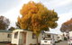 Wodonga Caravan & Cabin Park - thumb 0