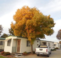 Wodonga Caravan  Cabin Park - Kempsey Accommodation