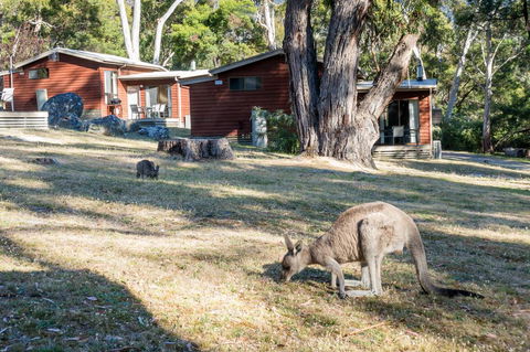 Wonderland Cottages - Kempsey Accommodation 1
