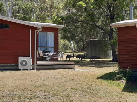 Wonderland Cottages - Kempsey Accommodation 3