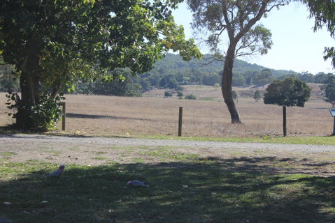 Wonky Stables Holiday Park - Kempsey Accommodation 2