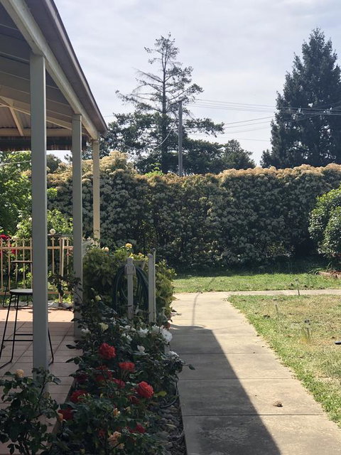 Zen Garde - Kempsey Accommodation 0