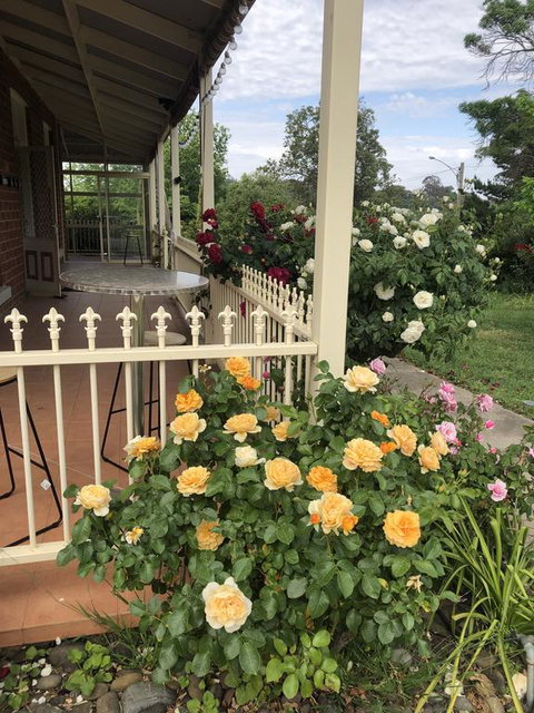 Zen Garde - Kempsey Accommodation 1