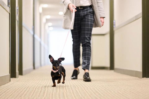 Abode Phillip - Kempsey Accommodation 4