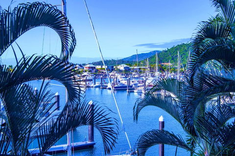 Absolute Luxury Marina Lifestyle At The Port Of Airlie Beach - Kempsey Accommodation 4