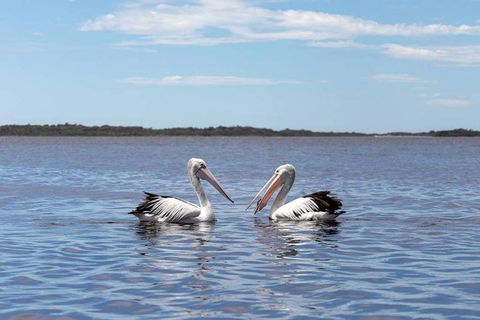 Amazing Ansons Bay Remote Paradise For The Family In The Bay Of Fires Area - Kempsey Accommodation 2