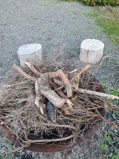 Angaston By The Winter Creek - Kempsey Accommodation 3