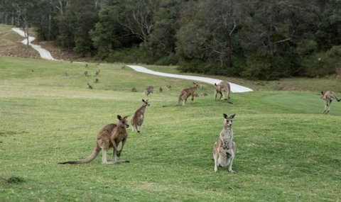 Anglesea River Apartment 22 - Kempsey Accommodation 4