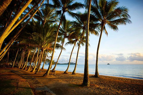 Alamanda Palm Cove By Lancemore - Kempsey Accommodation 3