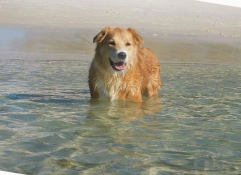 Away Nelson Bay, 29 Wollomi Ave - Spacious Family Home With Water Views, Pet Friendly, Wifi & Aircon - Kempsey Accommodation 2