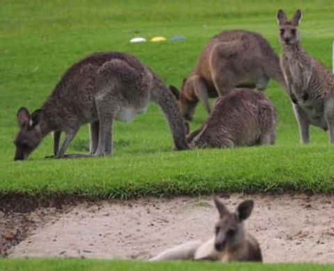 B & B On The Water - Kempsey Accommodation 3