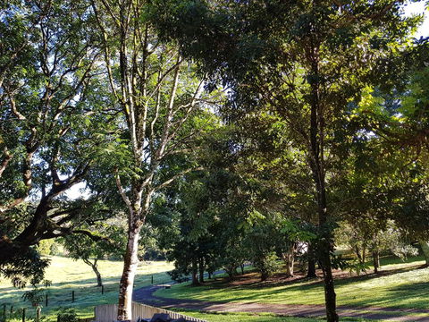 Bee-Haven Cottage - Kempsey Accommodation 7