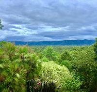 Daintree Manor BB - Kempsey Accommodation