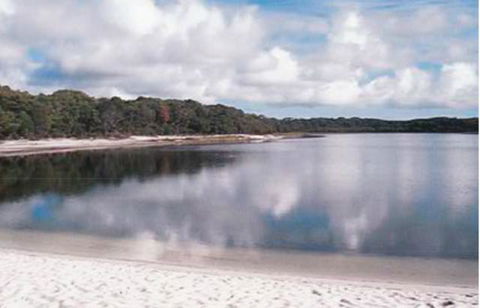 King Island Accommodation Cottages - Kempsey Accommodation 17