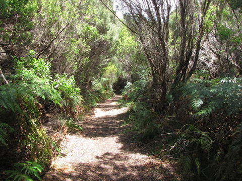 King Island Accommodation Cottages - Kempsey Accommodation 12