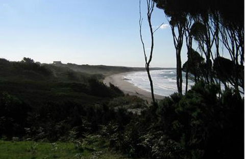 King Island Accommodation Cottages - Kempsey Accommodation 19