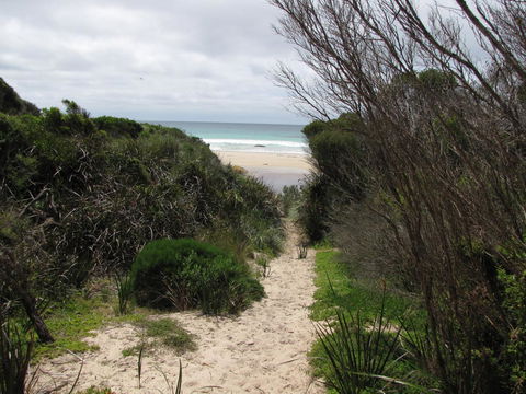 King Island Accommodation Cottages - Kempsey Accommodation 41
