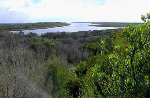 King Island Accommodation Cottages - Kempsey Accommodation 20