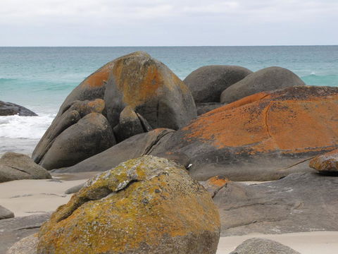 King Island Accommodation Cottages - Kempsey Accommodation 40