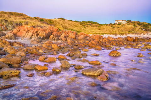 Porky Beach Retreat - King Island Escapes - Kempsey Accommodation 9