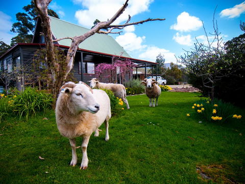 Parnella Adventure Bay, Bruny Island - Kempsey Accommodation 19