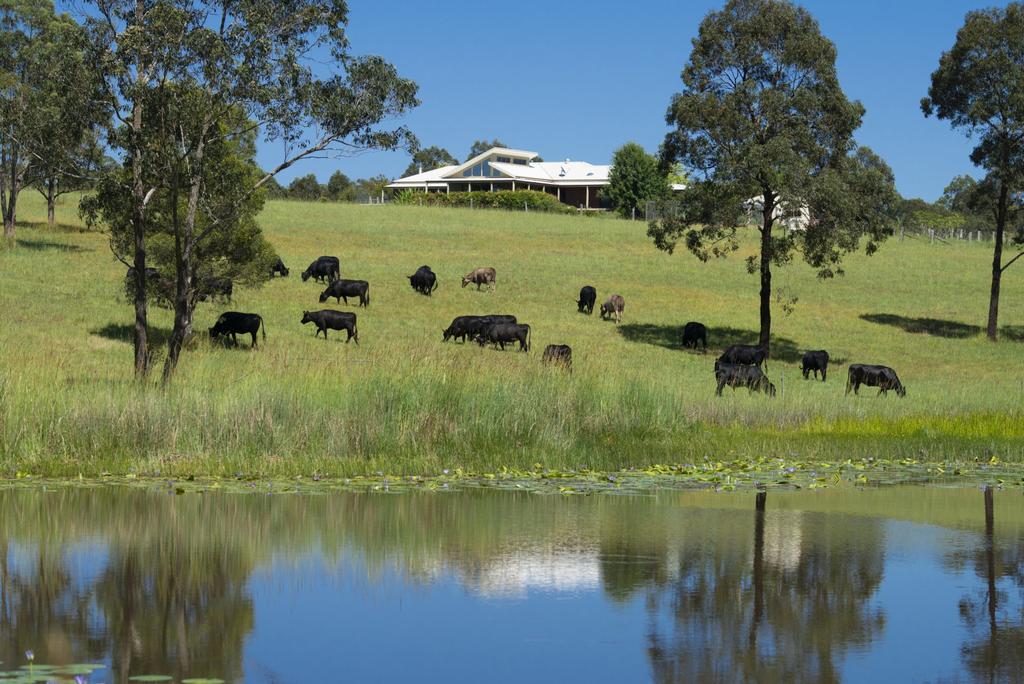 Mungo Brush NSW Kempsey Accommodation