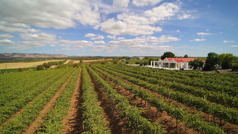 1837 Barossa Luxury Vineyard Cottages - Kempsey Accommodation 0