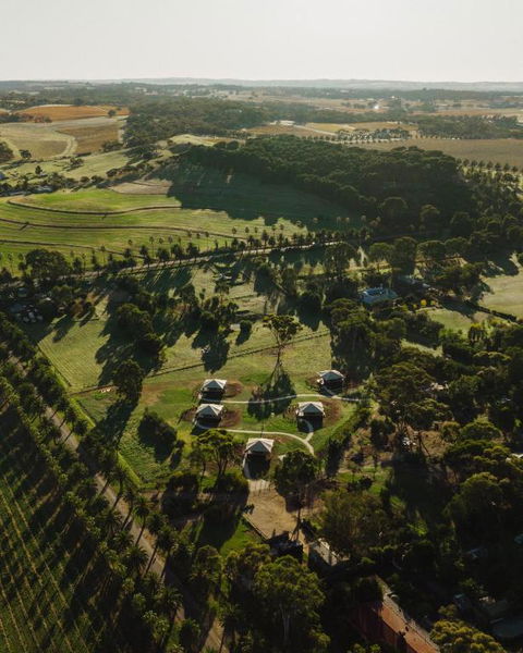 CANVS By CABN Seppeltsfield Barossa - Kempsey Accommodation 1