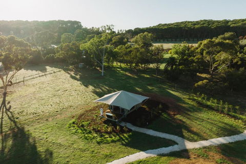 CANVS By CABN Seppeltsfield Barossa - Kempsey Accommodation 0