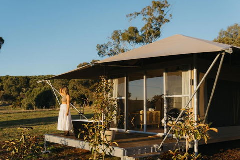 CANVS By CABN Seppeltsfield Barossa - Kempsey Accommodation 4