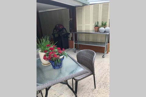 Daintree Beach Studio - BEACH FRONT ACCOMMODATION - Kempsey Accommodation 3