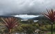 Derwent Mist Villas (Acacia Villa) - thumb 2