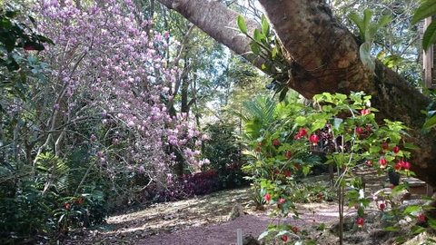 305 Montville - The Artist's Cottage - Kempsey Accommodation 3