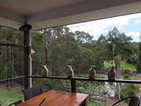 Book Gold Coast Accommodation Vacations Kempsey Accommodation Kempsey Accommodation