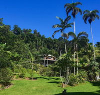 A Daintree Garden - Kempsey Accommodation