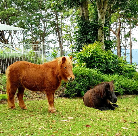 Aaronlee Retreat - Kempsey Accommodation 1