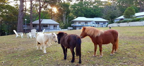 Aaronlee Retreat - Kempsey Accommodation 2