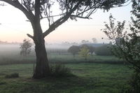 Book Heyfield Accommodation Vacations Kempsey Accommodation Kempsey Accommodation