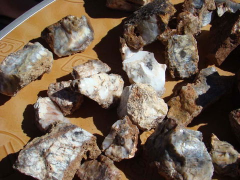 Acclaim Gateway Tourist Park - Kempsey Accommodation 1