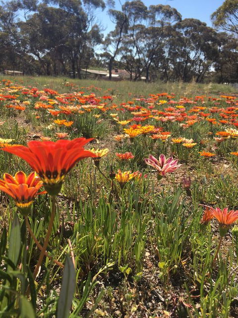 Acclaim Gateway Tourist Park - Kempsey Accommodation 2