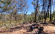 Echidna Ridge By Tiny Away - thumb 1