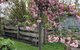 Elm Cottage Barn - thumb 2
