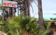 Foundry Palms Motel - thumb 1