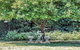 Glenalvie In The Hills - A Peaceful Semi-Rural Haven - thumb 3