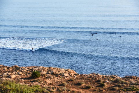 Aldinga Beach Experience - Kempsey Accommodation 3
