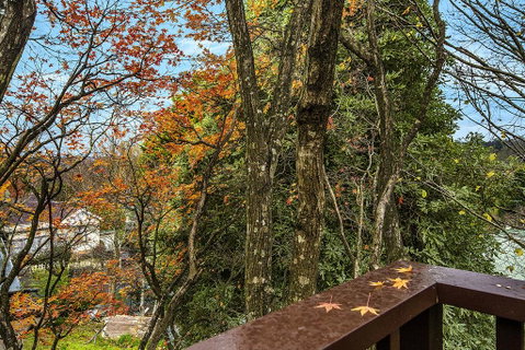 Allambee - Kempsey Accommodation 2