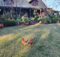 Angaston by the Winter Creek - Kempsey Accommodation