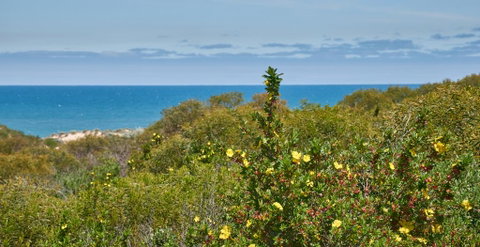 API Preston Beach Front Apartments - Kempsey Accommodation 2